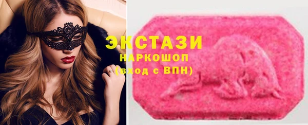 крисы Каменка