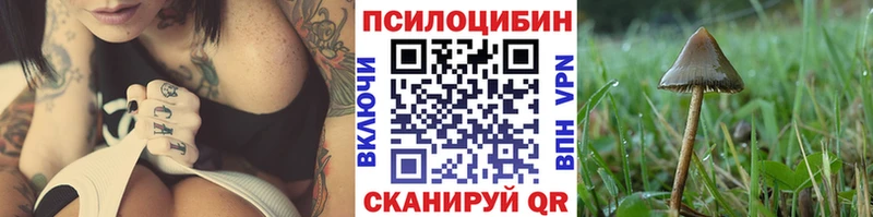 Псилоцибиновые грибы Magic Shrooms  Перевоз 